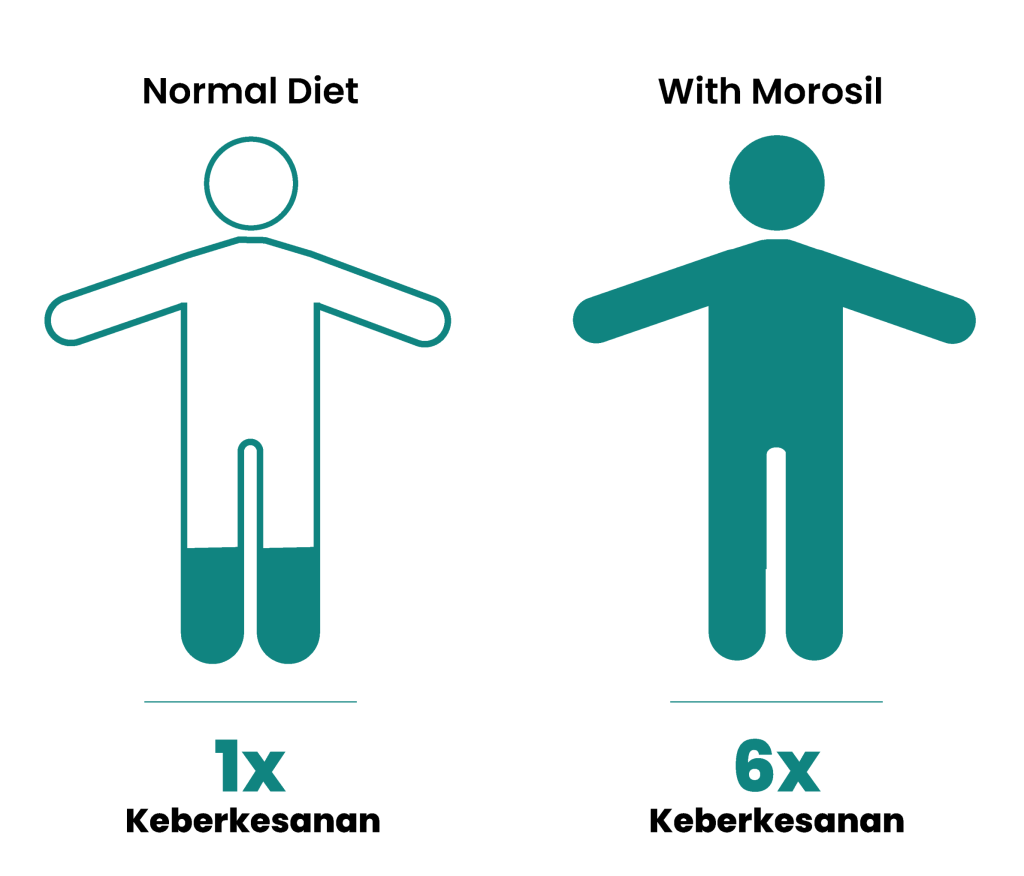 Comparison-Morosil-HQ