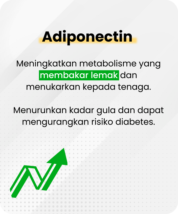 Morosil-Adiponectin