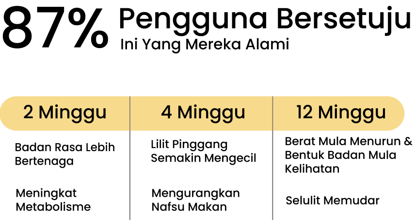 Pengguna-Bersetuju-Morosil-HQ